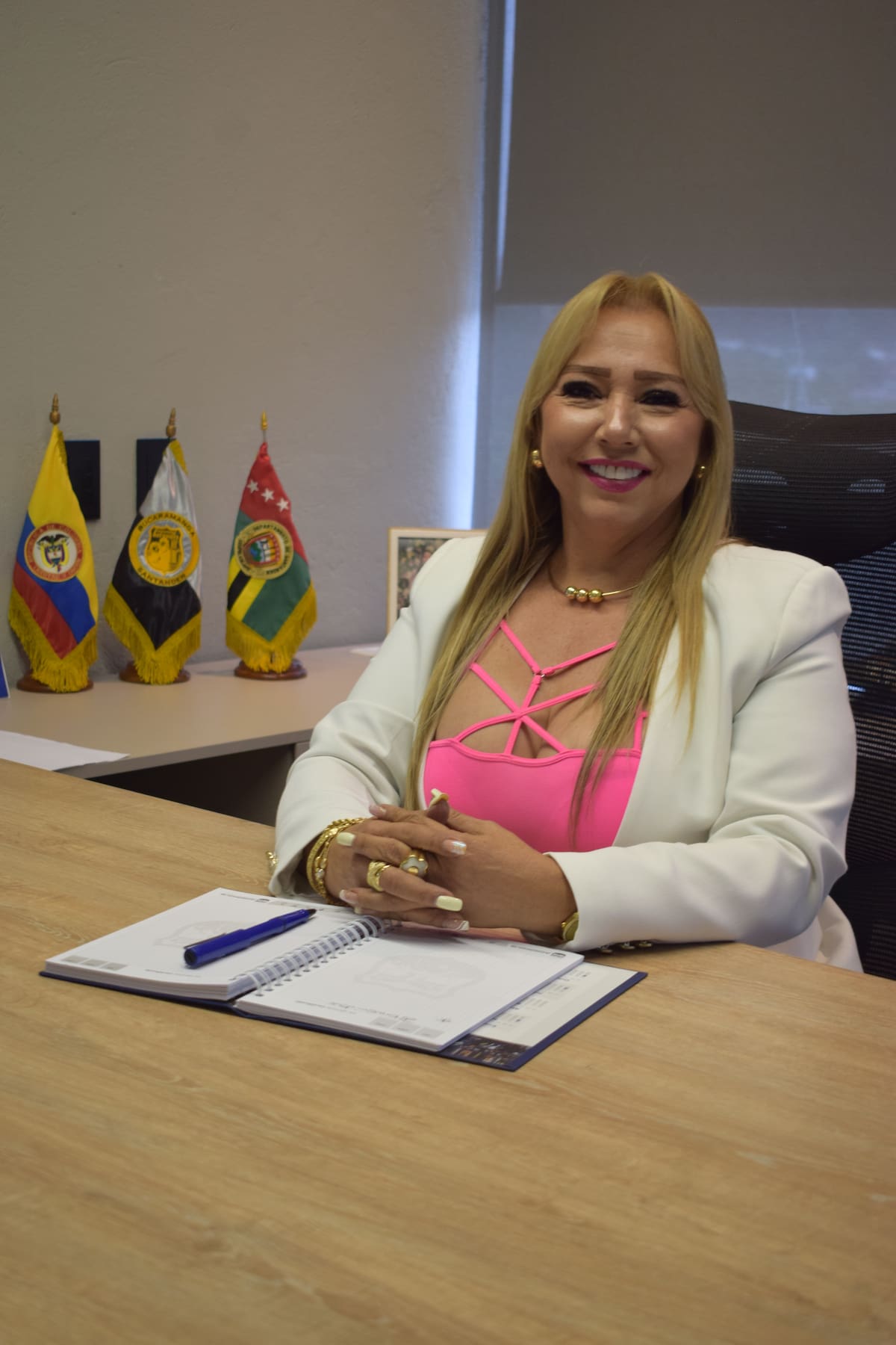 Seguridad Acrópolis /VANGUARDIA