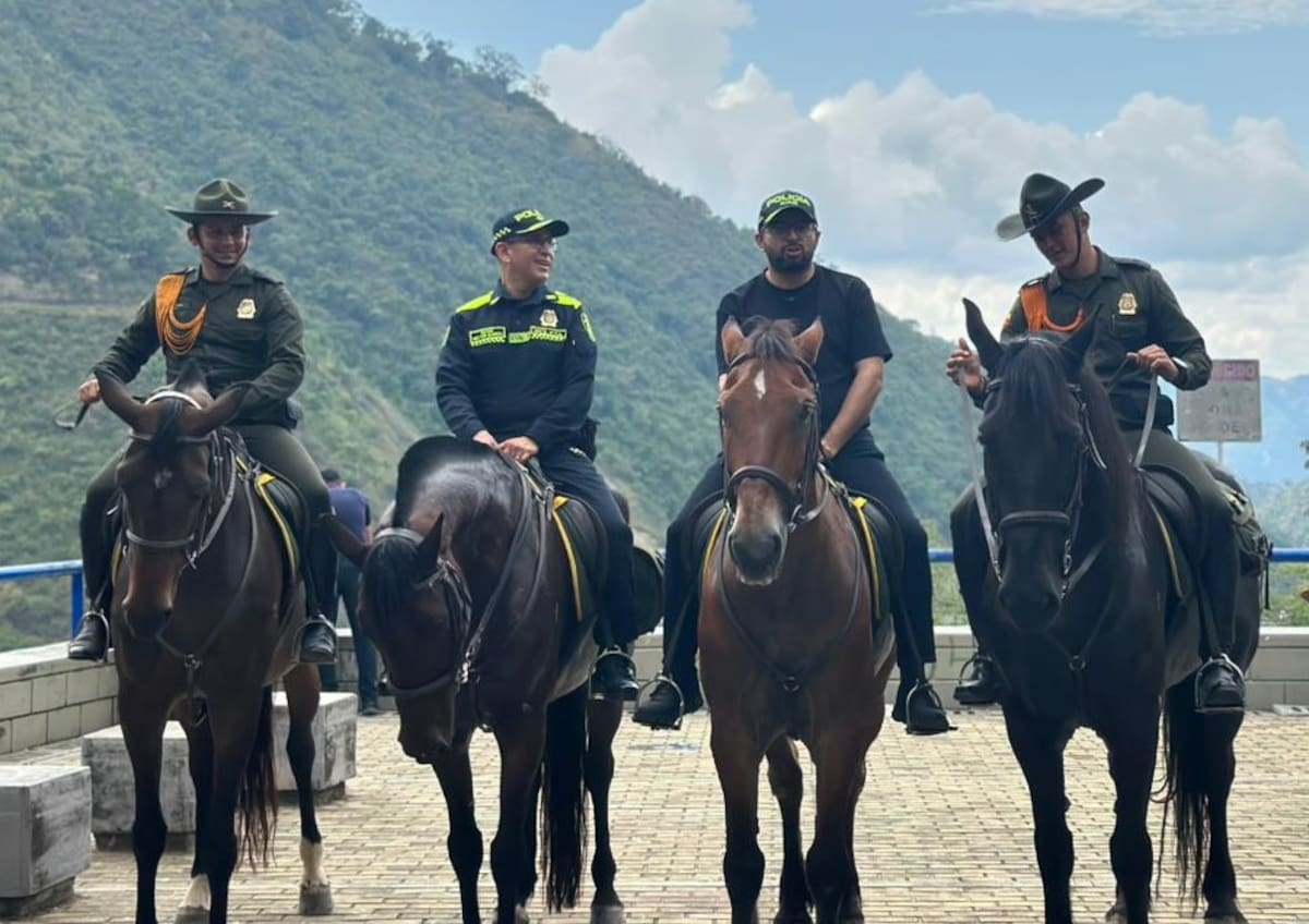 Seguridad para el campo de Bucaramanga.
