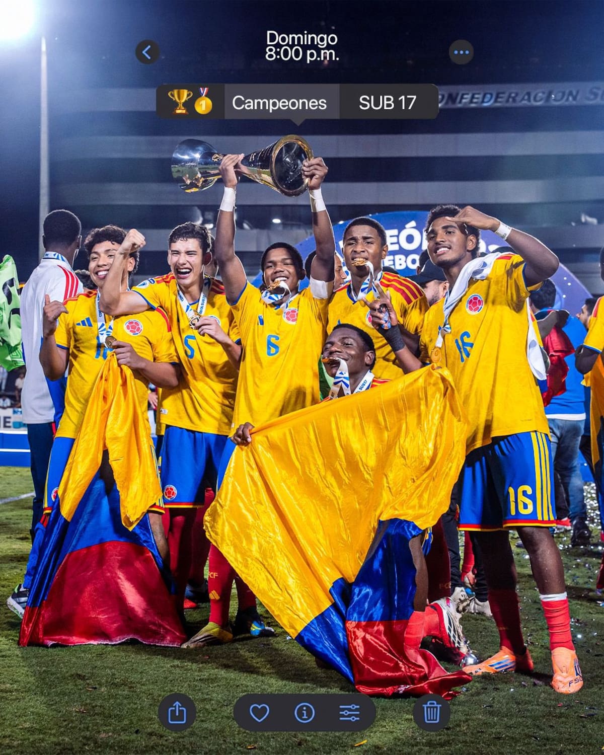 La selección Colombia Sub-17 se impuso 4-0 sobre Argentina para lograr el título del Campeonato Sudamericano. Foto: FCF.