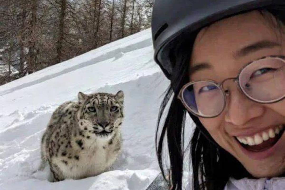 Esta es la selfie de la esquiadora que fue atacada por un leopardo de las nieves en un resort de Xinjiang.