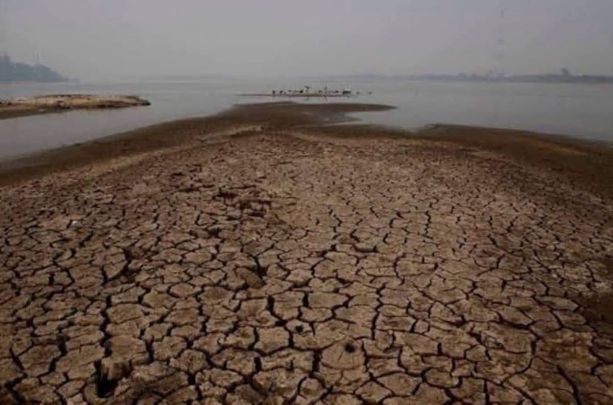 El bajo nivel del agua dejó varias canoas varadas en la Ciénaga El Llanito de Barrancabermeja, donde los pescadores ya no pueden desplazarse con normalidad para realizar sus faenas.
Suministrada/Vanguardia