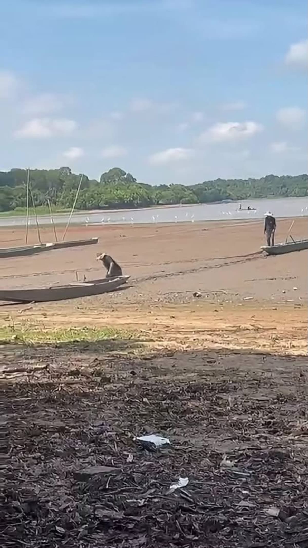 El bajo nivel del agua dejó varias canoas varadas en la Ciénaga El Llanito de Barrancabermeja, donde los pescadores ya no pueden desplazarse con normalidad para realizar sus faenas.
Suministrada/Vanguardia