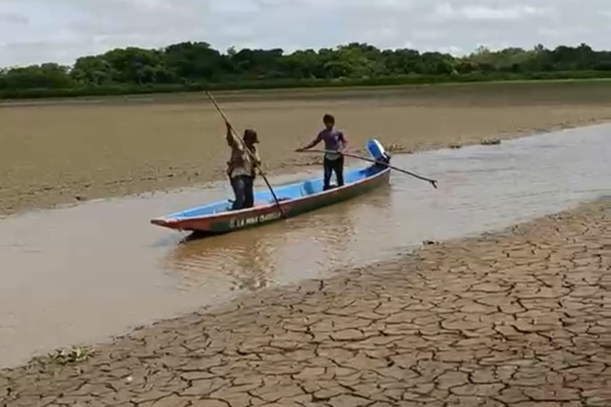 El bajo nivel del agua dejó varias canoas varadas en la Ciénaga El Llanito de Barrancabermeja, donde los pescadores ya no pueden desplazarse con normalidad para realizar sus faenas.
Suministrada/Vanguardia