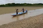 SOS por la Ciénaga El Llanito: alertan sobre bajos niveles del agua y el riesgo que corren los manatíes