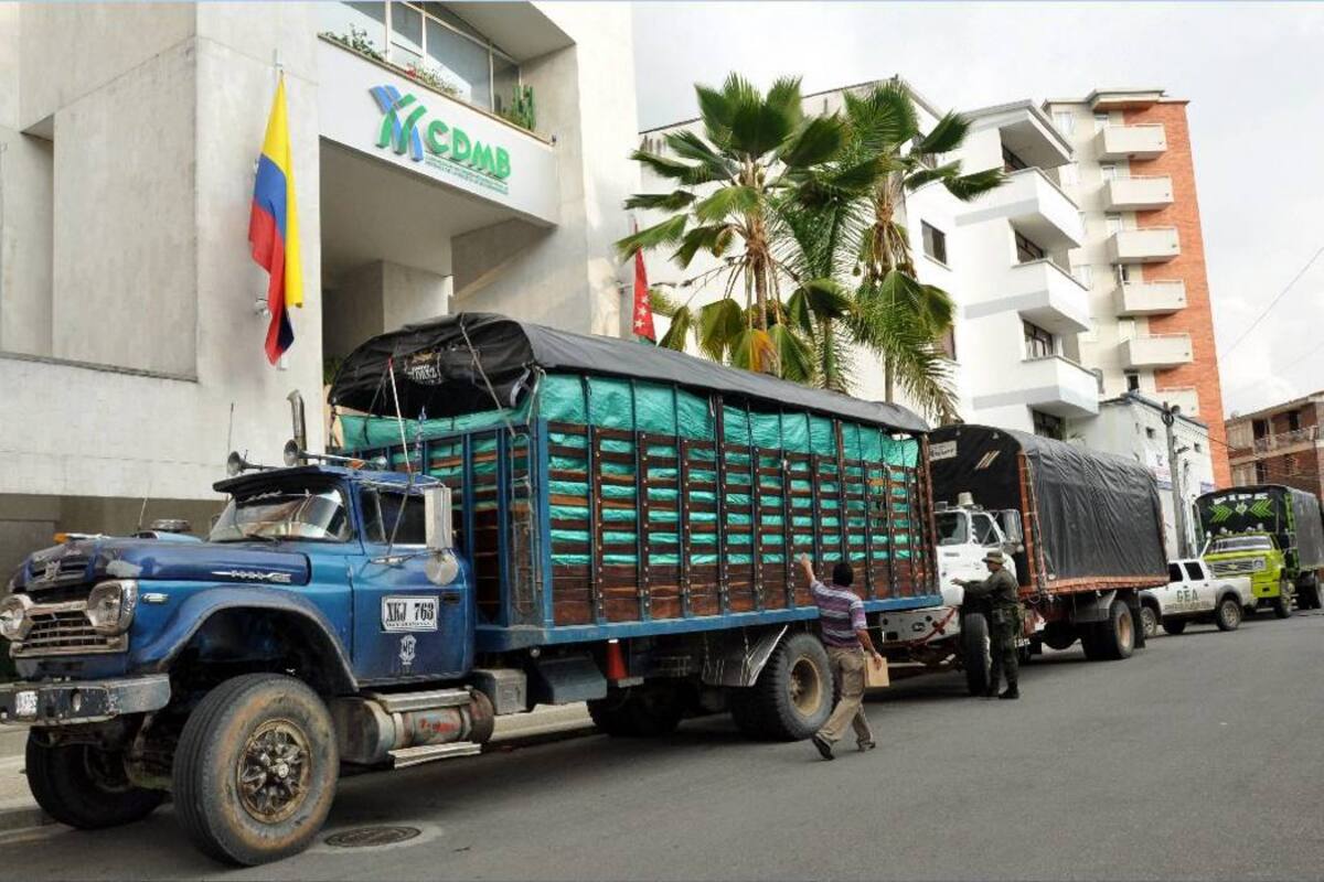 Al cierre de esta edición continuaban las audiencias en contra de los diez capturados señalados de pertenecer al ‘cartel de la madera’ en Santander. (Foto: Archivo / VANGUARDIA LIBERAL.)