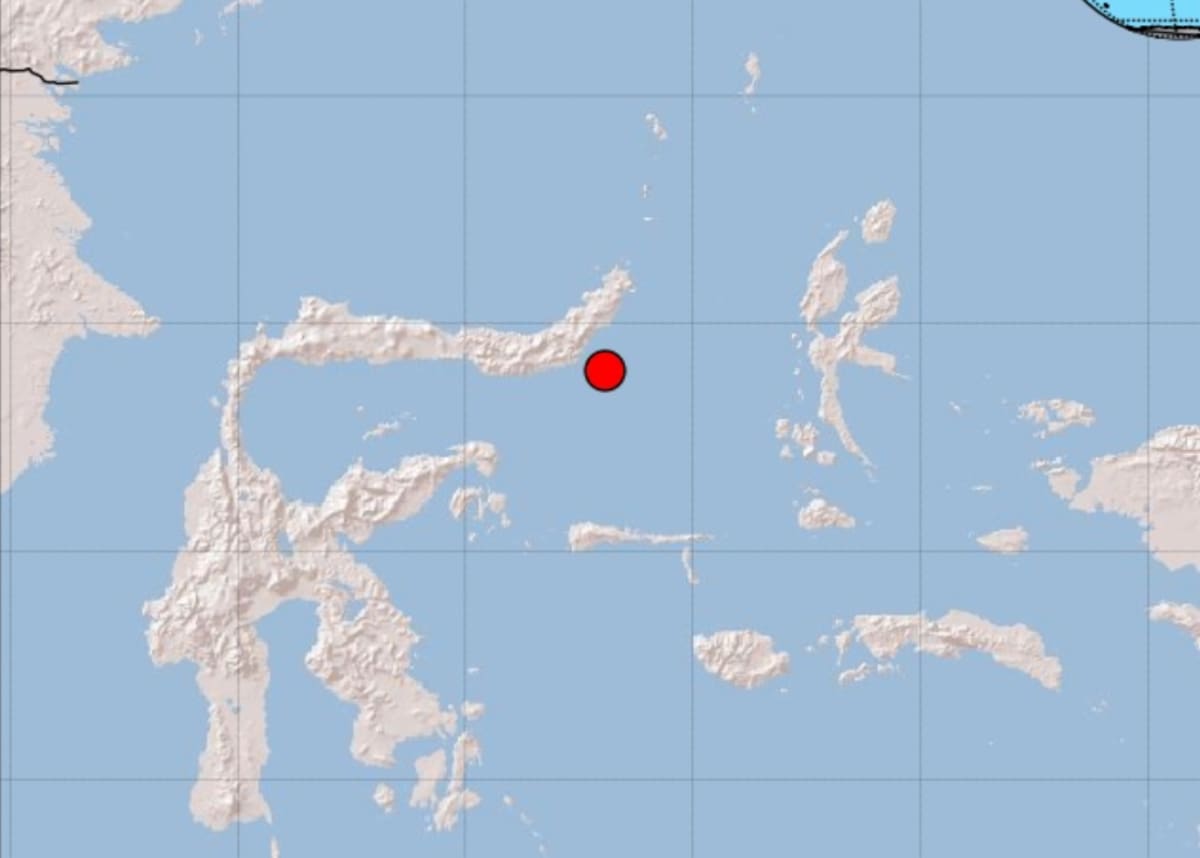 El epicentro se registró en Modisi, Indonesia.