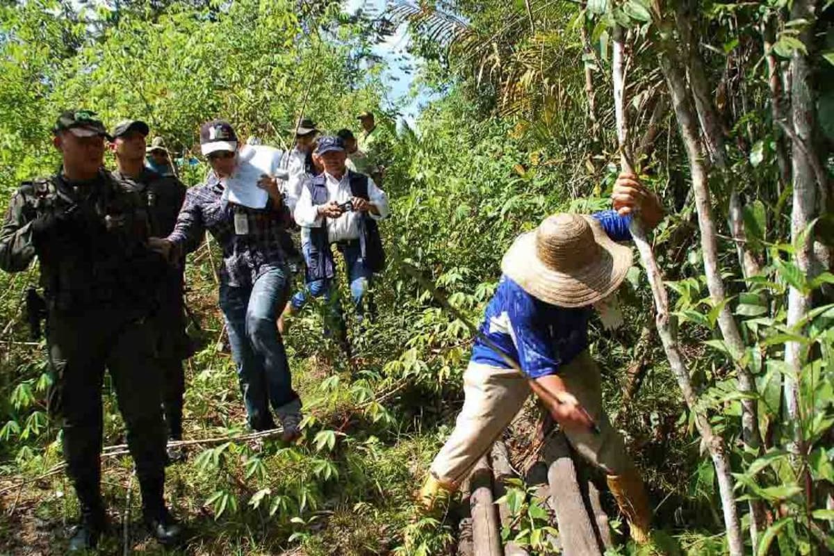 En el Magdalena Medio los municipios que cuentan con mayor número de fallos de restitución son: Rionegro (3.147), San Alberto (2.188) y Sabana de Torres (583). (Foto: Archivo/VANGUARDIA LIBERAL)