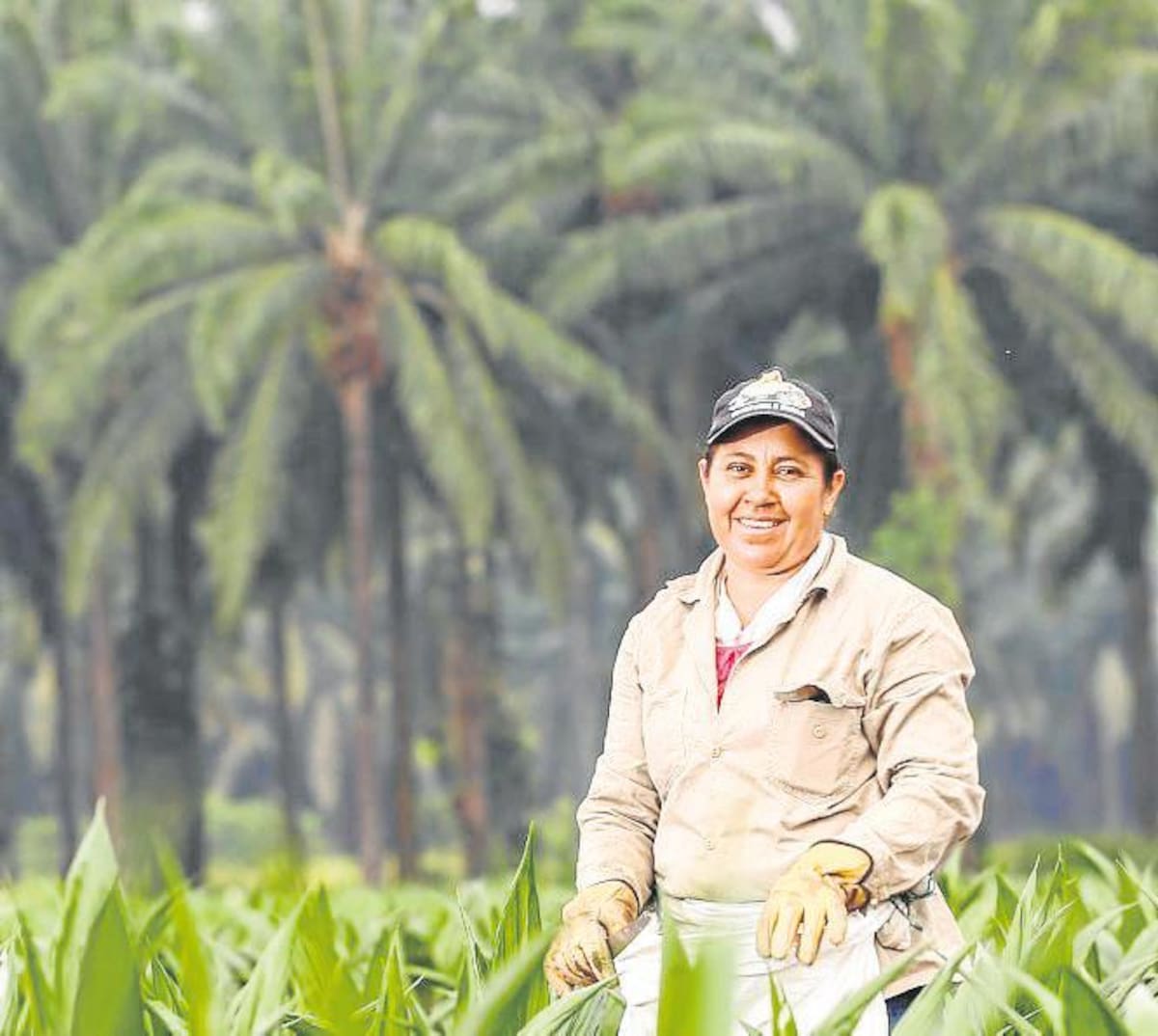 Mujer Palmera Campesina.