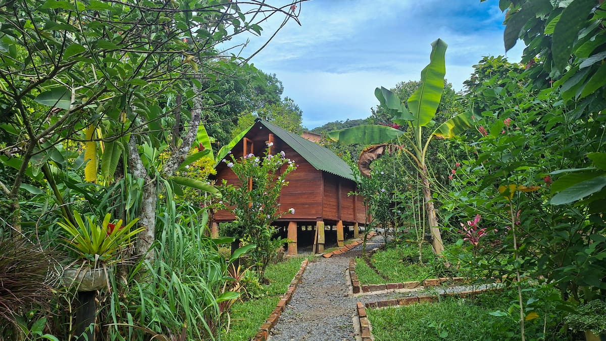 Suministrada: Ecoglamping Jardin del Sol/Vanguardia