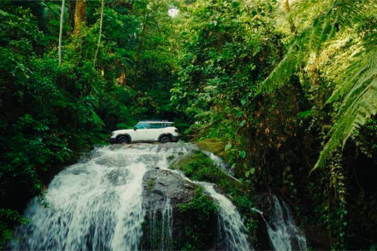 Suministrada