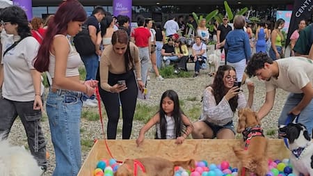 Mascotas Festival: el espacio para los animales de compañía y sus familias