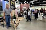 Vivienda e inversión en la 20ª Feria Inmobiliaria Vanguardia