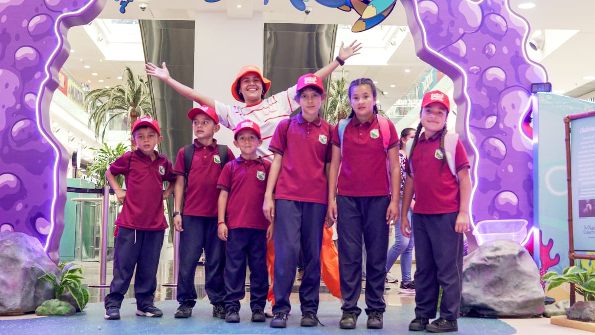 Suministradas CACIQUE / VANGUARDIA