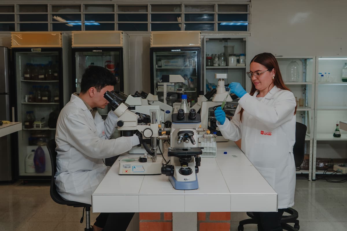 La OIT estima que las políticas orientadas hacia una economía más ‘verde’ podrían contribuir a crear 24 millones de nuevos empleos en el mundo para 2030, una transformación que abre oportunidades para perfiles con competencias ambientales. - Suministradas UNAB/VANGUARDIA