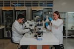 Los empleos ‘verdes’ crecen: ¿quiénes serán los perfiles más buscados por las empresas?