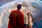 Adopciones de perros aumentan tras estreno de Superman y el impacto de Krypto