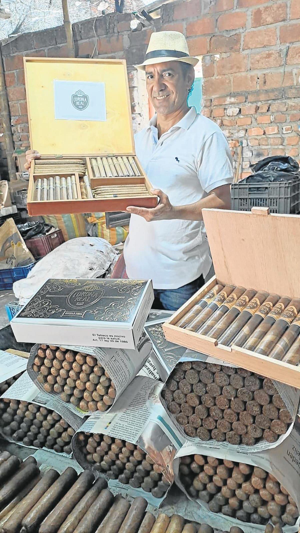 / VANGUARDIA
