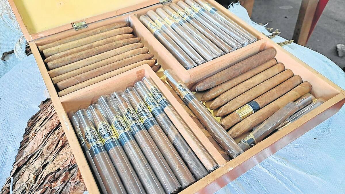 / VANGUARDIA