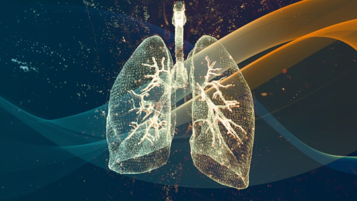 La prevención y del abandono del consumo de tabaco puede marcar la diferencia en la calidad de vida de millones de personas.