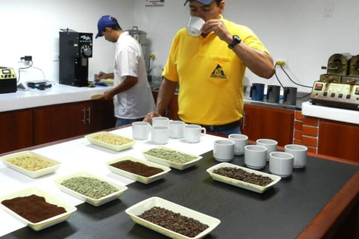 La inscripción y recepción de los granos está abierta hasta el 31 de enero.