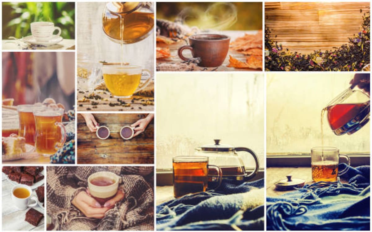 ¡El té perfecto sí existe y tiene su hora! ¿Sabías que no es lo mismo tomar un té negro en la mañana que una manzanilla en la noche?