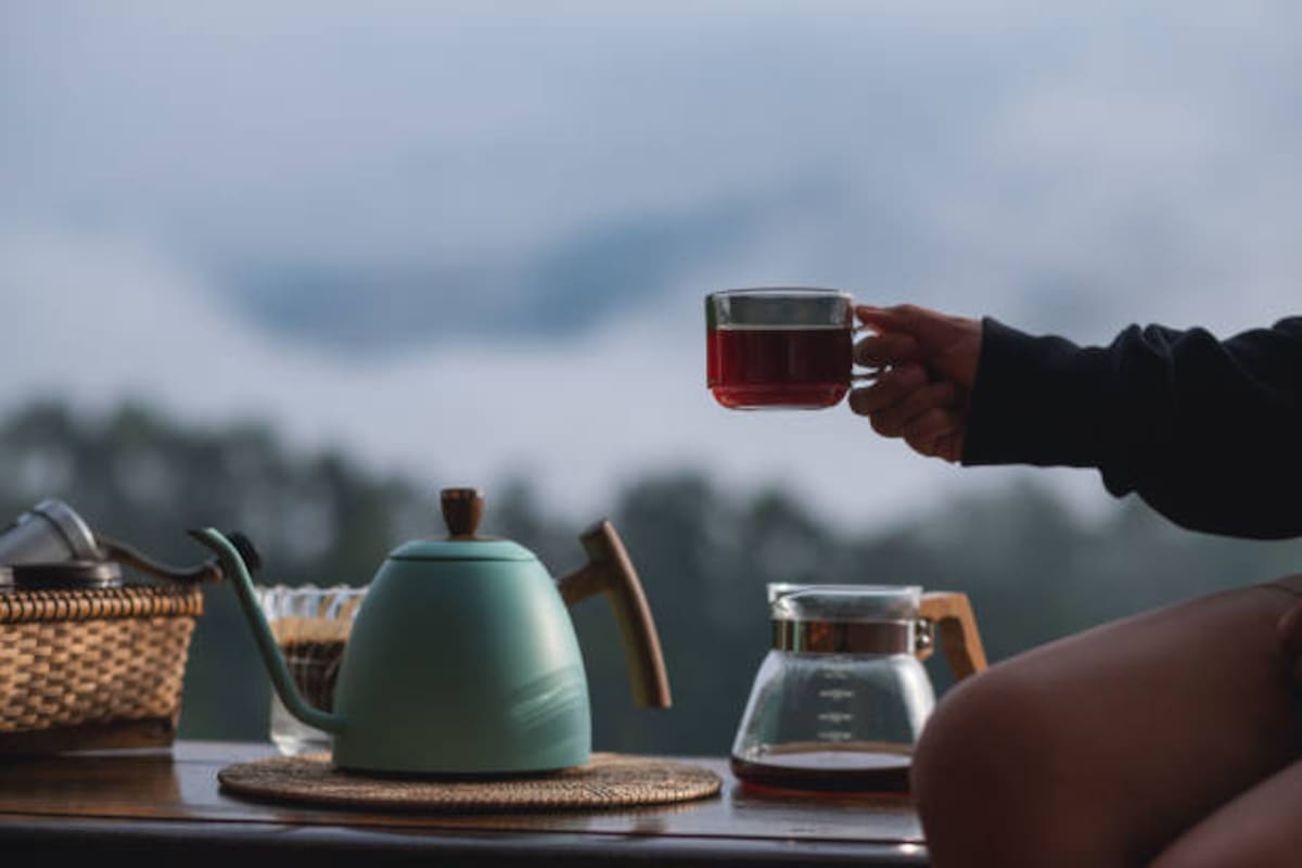 Hoy, en el Día Internacional del Té, te enseñamos a elegir la infusión ideal para cada momento de tu día.