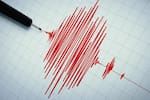 ¿A qué hora volverá a temblar? Esto dicen los expertos tras el sismo de magnitud 7,4 en Colombia