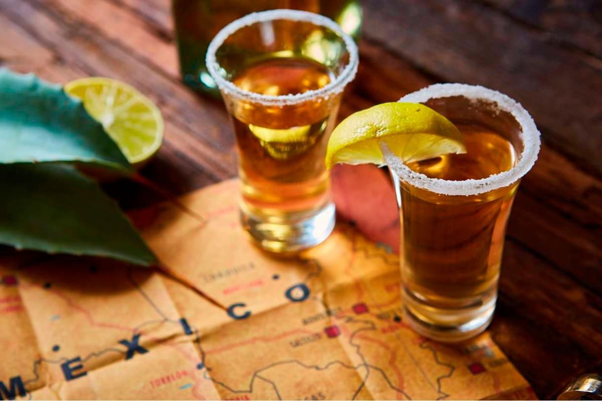 El tequila sale del corazón de la planta del agave azul, una especie de piña de donde se extrae la materia prima. Internet / VANGUARDIA