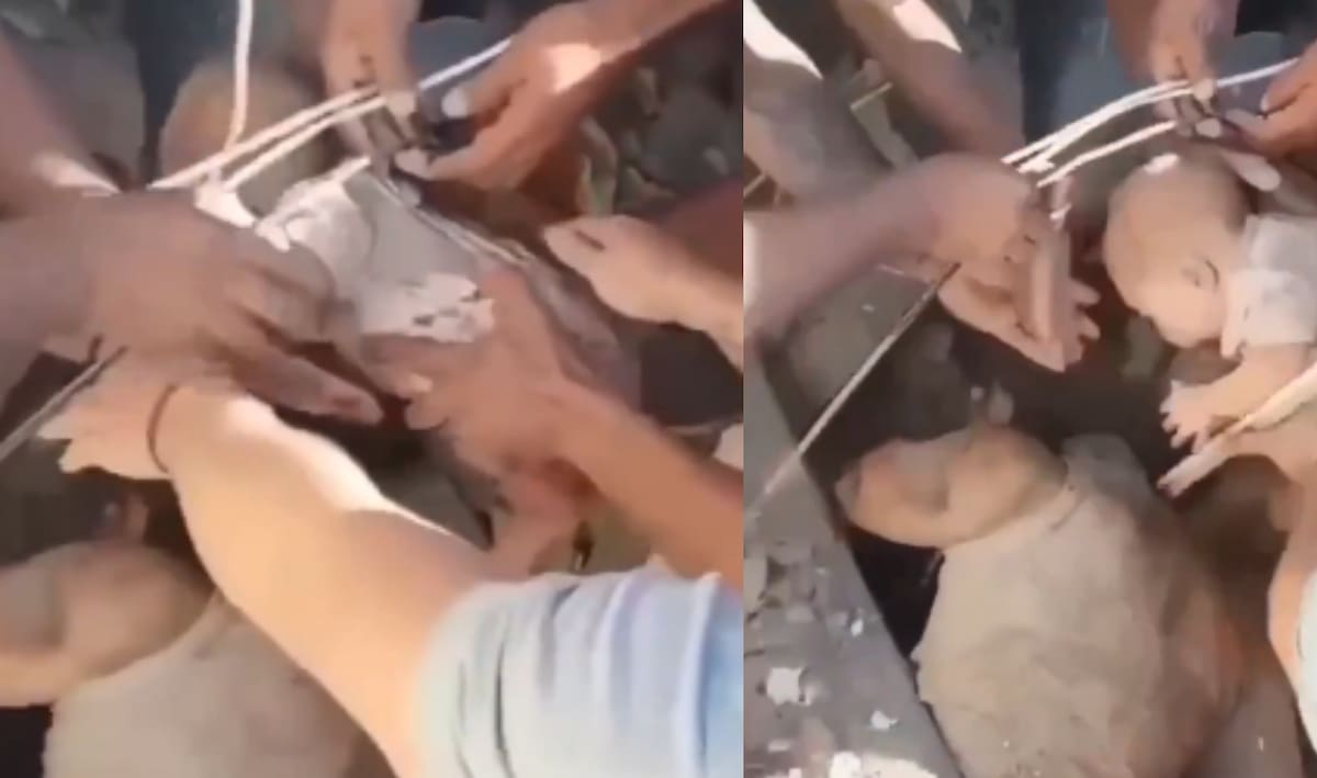El rescate ocurrió este mismo 10 de agosto.