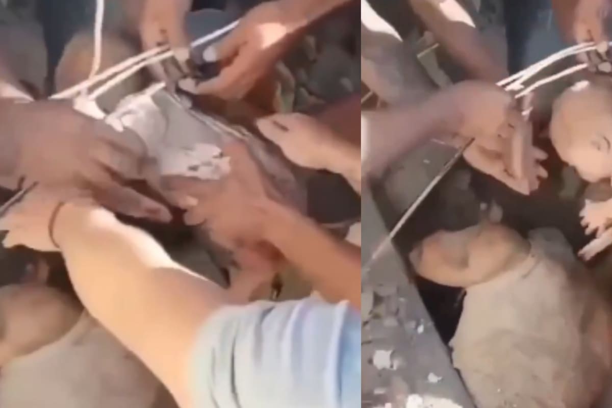 El rescate ocurrió este mismo 10 de agosto.