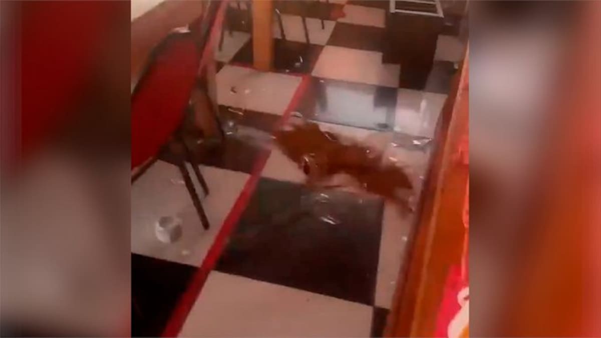 Un terremoto de magnitud 6,9 sacudió la tarde del lunes 25 de mayo de 2026 el norte de Chile y fue percibido también en varias regiones del sur de Perú.