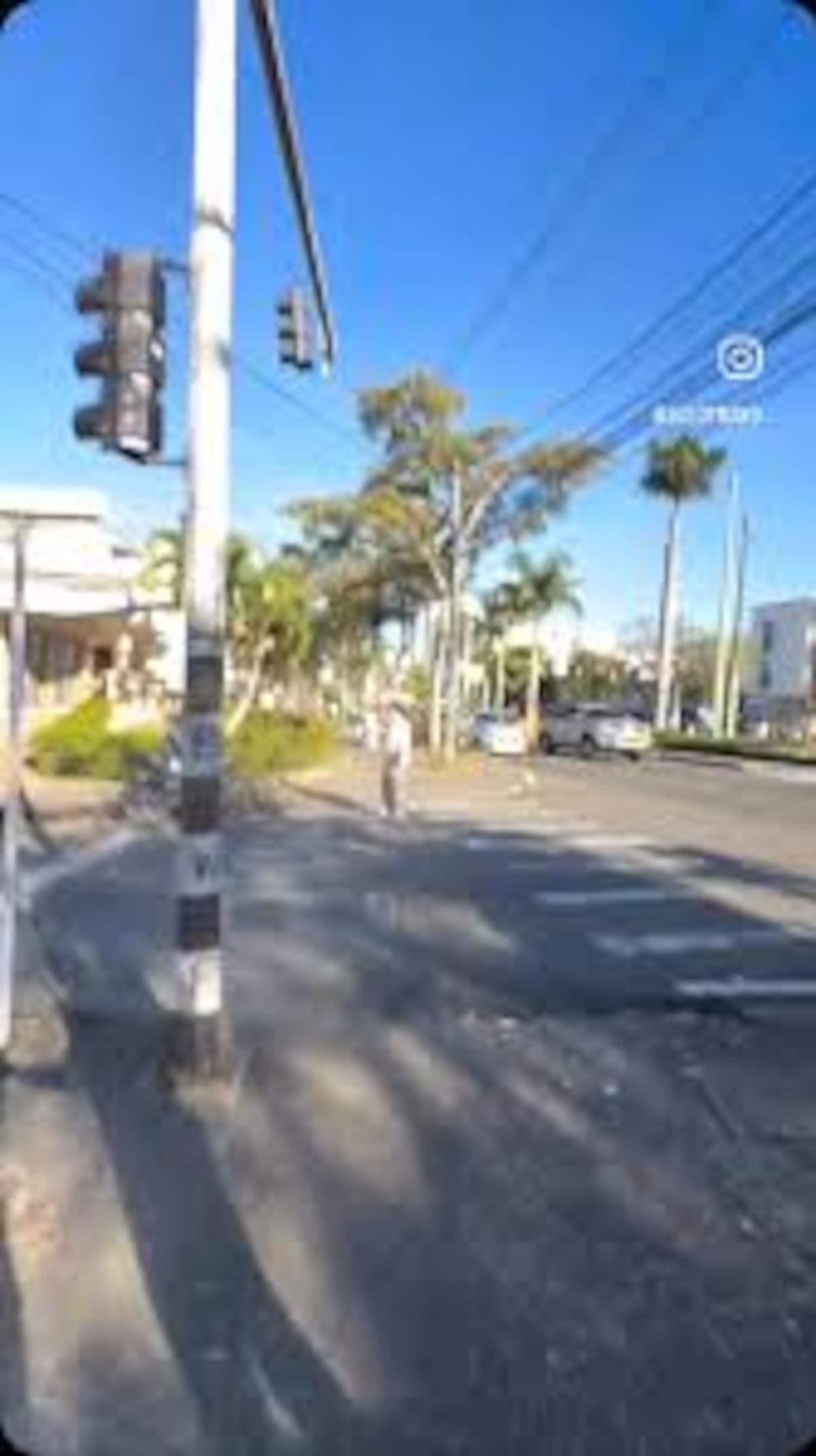 Video registrado en zona rural de San José del Palmar muestra el movimiento del terreno durante el terremoto de magnitud 7.4 que sacudió a Colombia.
