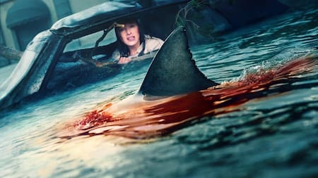 Thrash: la aterradora película de Netflix sobre un huracán categoría 5 que es tendencia