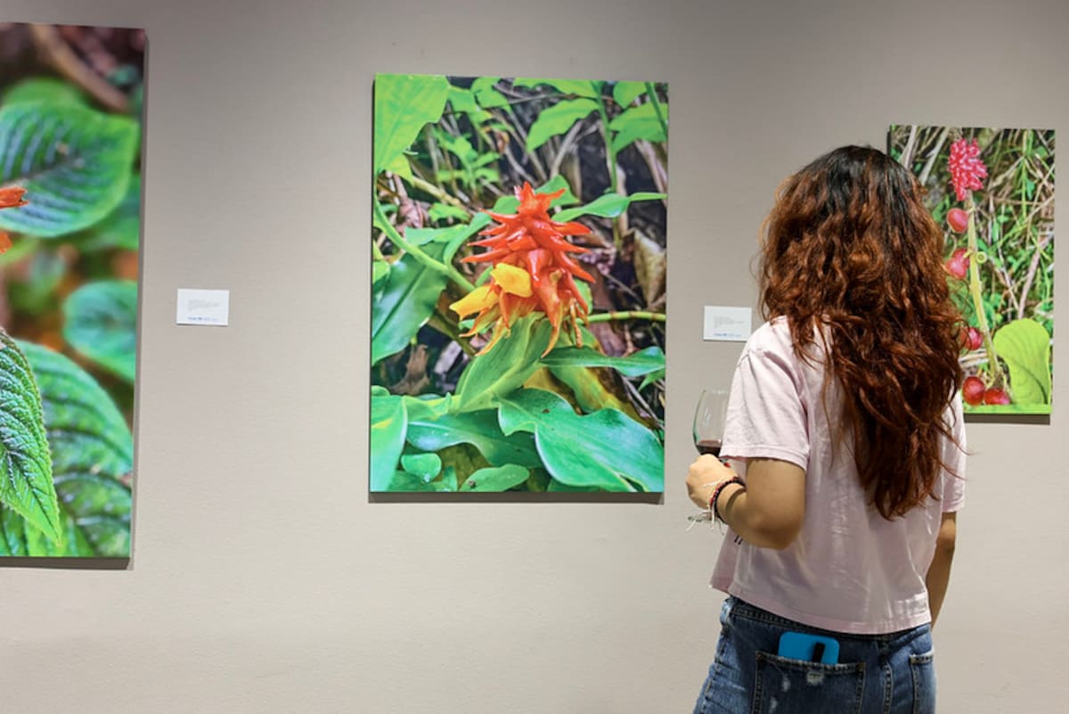 ¿Tiene un proyecto artístico? Esta sala de Bucaramanga busca las obras que exhibirá en 2027. Foto suministrada/VANGUARDIA