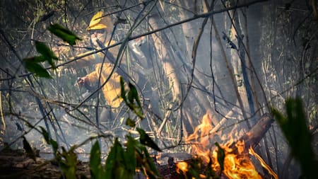 Colombia mantiene la emergencia por incendios forestales: hay 18 activos