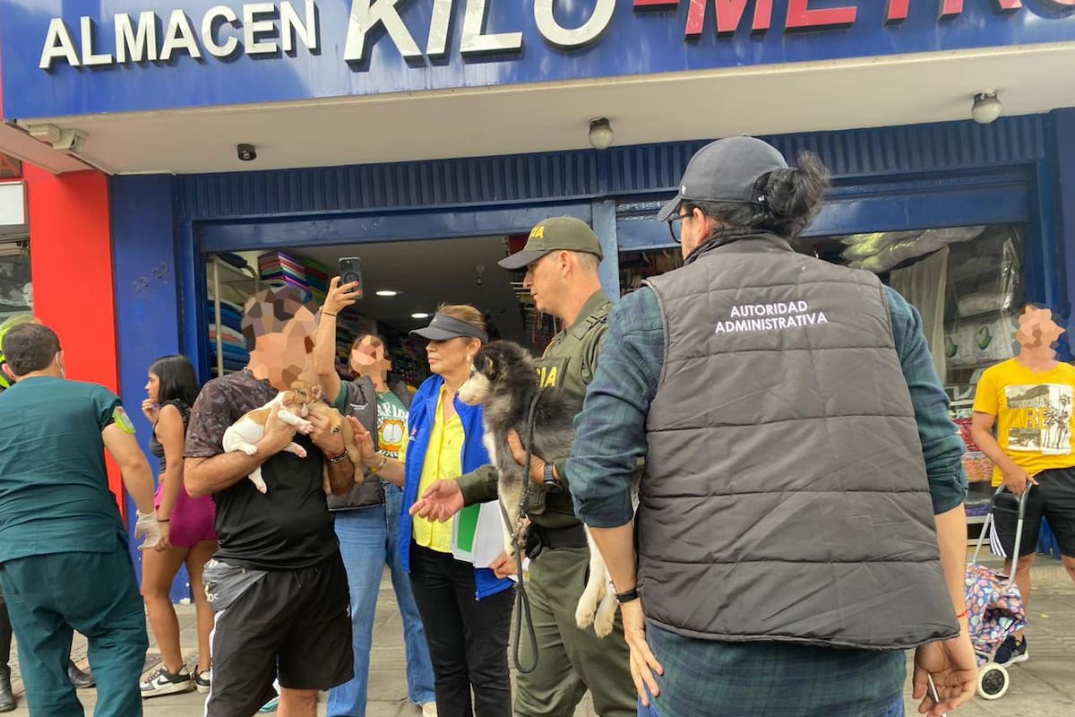 El comercio de animales en espacios públicos está prohibido. Según la Policía Nacional, esta infracción genera la imposición de una multa tipo 3, alrededor $693.333. (Fotos: suministradas / VANGUARDIA)