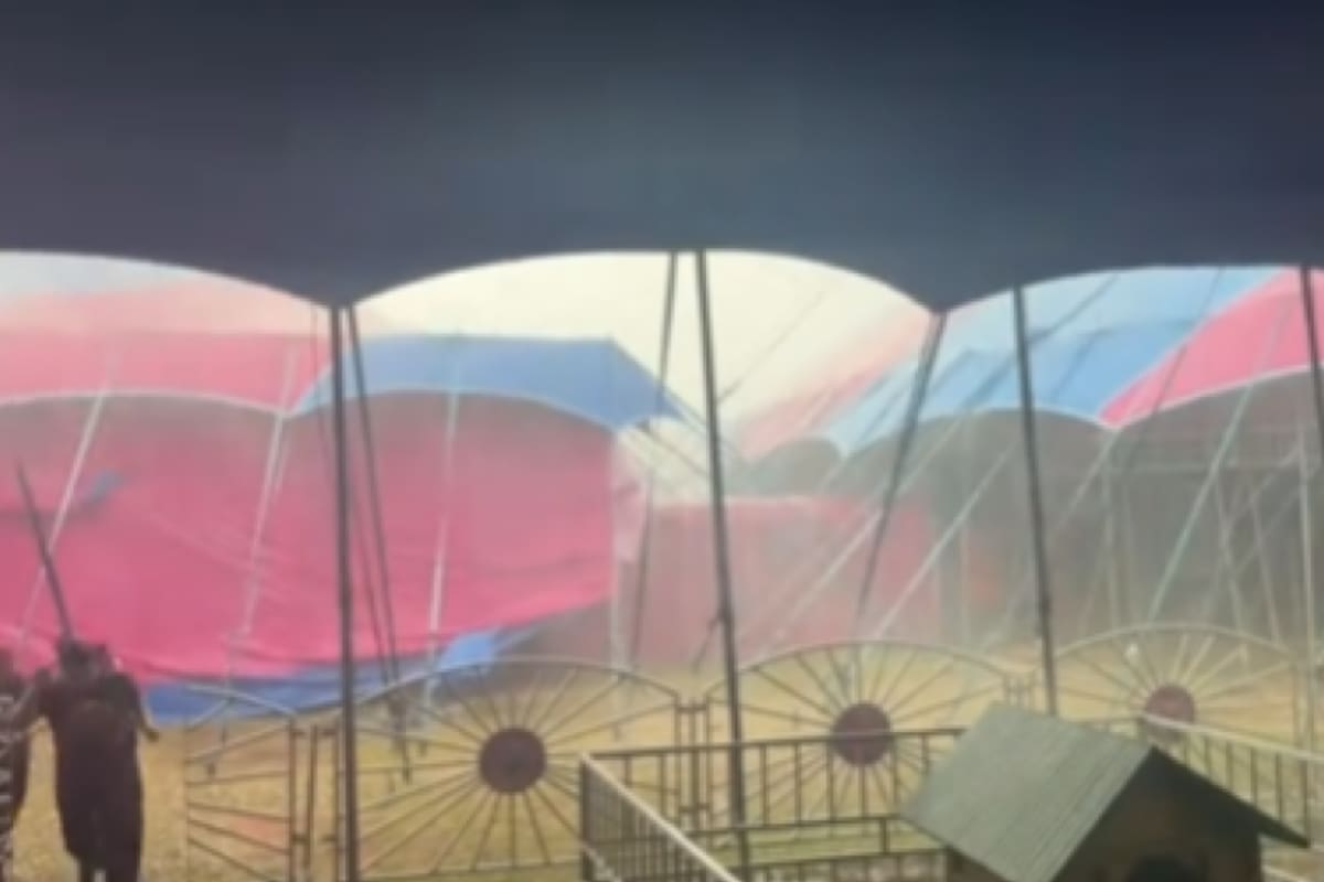 Foto: Captura de pantalla