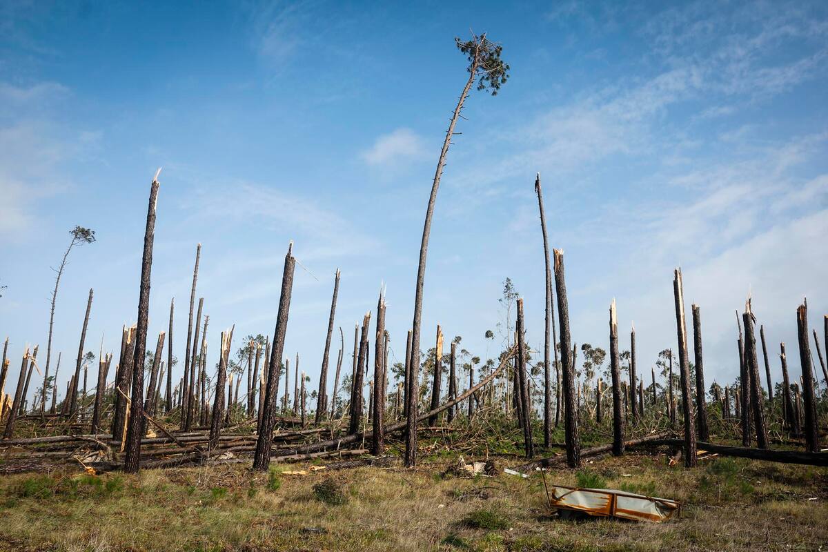 El paso de la tormenta Kristin por territorio portugués el 29 de enero dejó un rastro de destrucción, provocando cinco muertes y dejando a varias personas sin hogar.