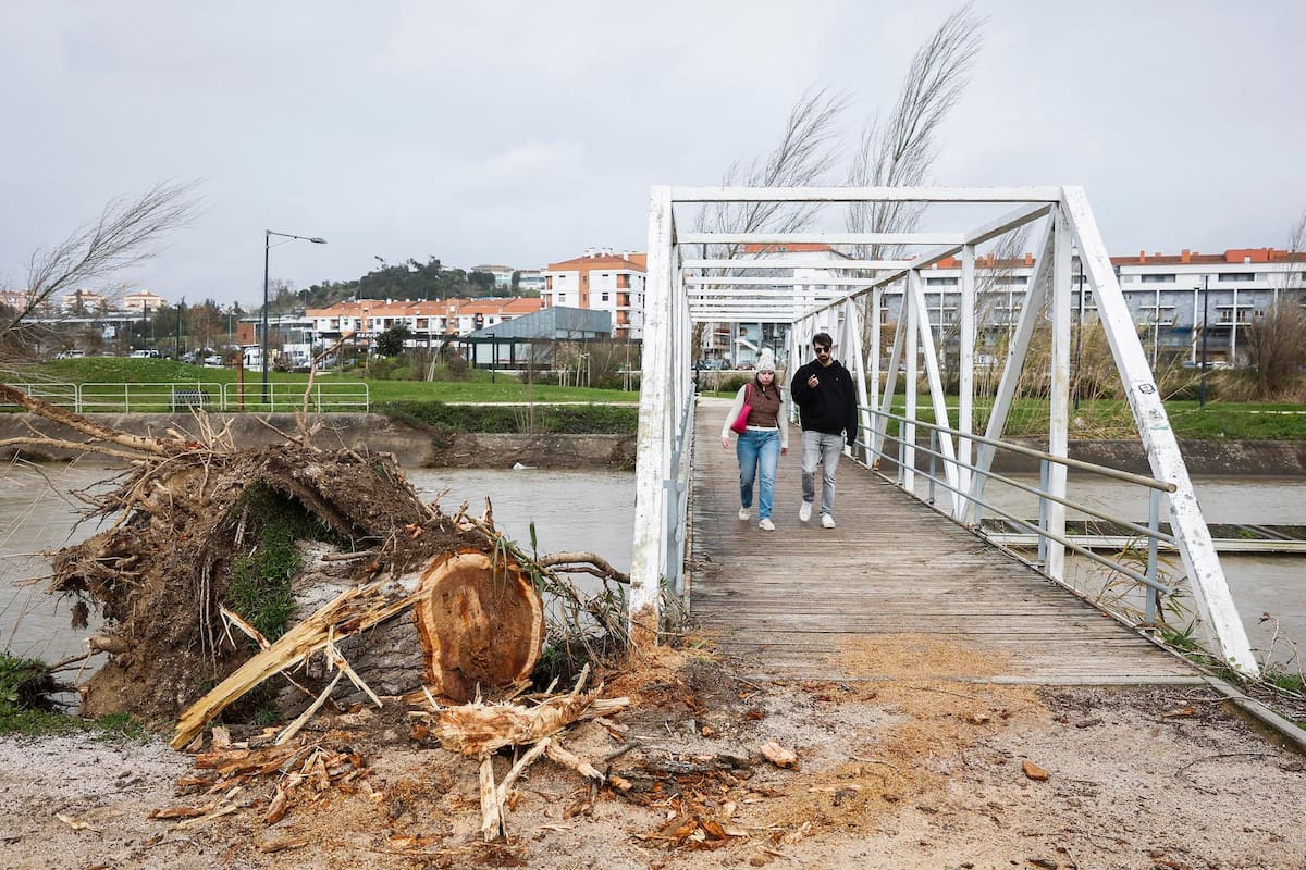 La caída de árboles y estructuras dejó varias carreteras cortadas tras el paso de la tormenta Kristin por distintas regiones de Portugal.