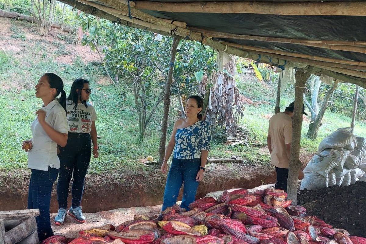 Suministrada/Vanguardia