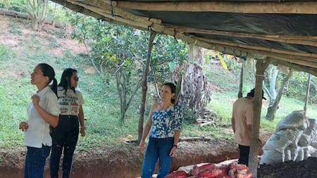 Tour del cacao en Santander: una experiencia para ‘degustar’ la cultura cacaotera