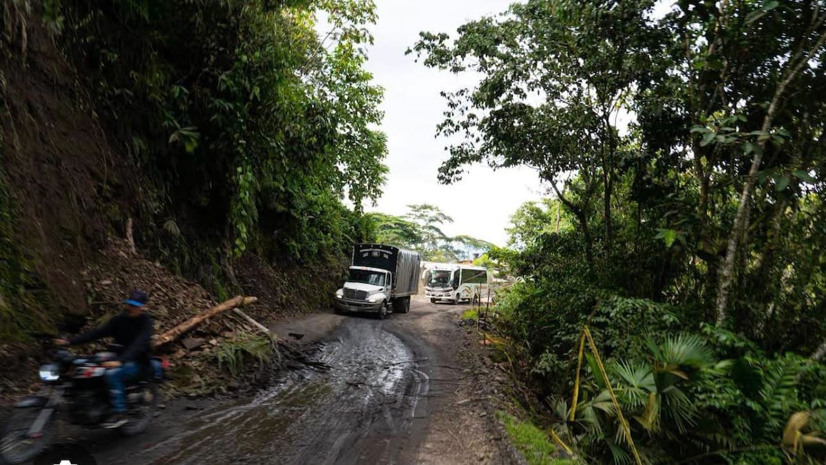 Comunidades bloquearon la Transversal del Carare en el kilómetro 21 para reclamar soluciones ante el deterioro de la carretera.
Suministrada/Vanguardia