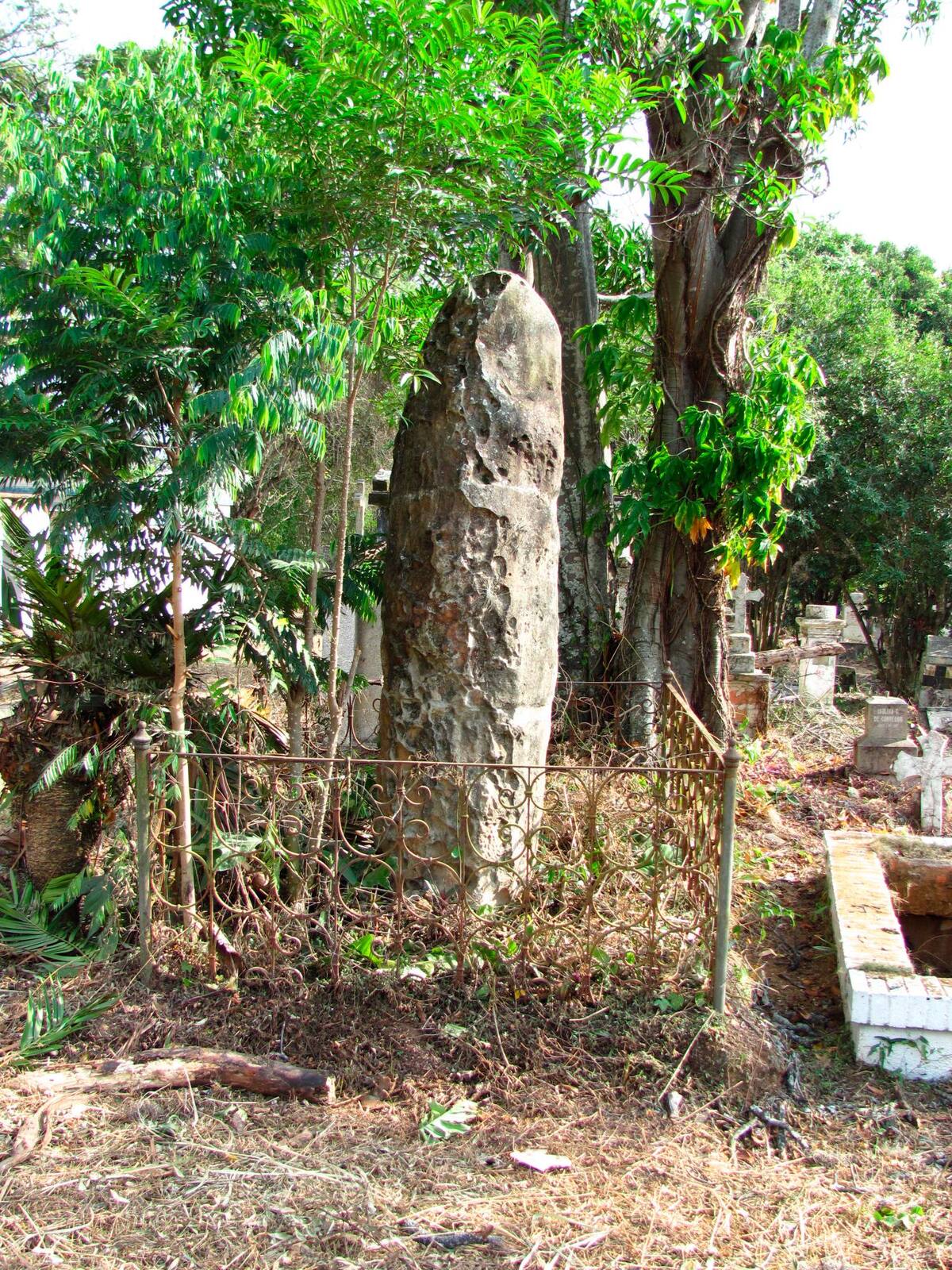 Esta tumba atípica y distintiva, fue una de las muchas que rompió con los estándares de la cultura material funeraria de la época. Perteneció a Balbina Rovira de López, familiar del prócer Custodio García Rovira, esposa de Ambrosio López, tío - abuelo del expresidente Alfonso López Michelsen. (Foto suministrada: Sergio Armando Cáceres Mateus).