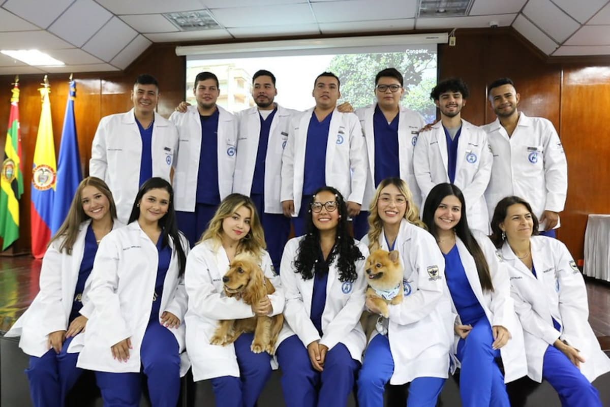 Medicina Veterinaria de la UDES recibe reconocimiento de Alta Calidad del Ministerio de Educación.