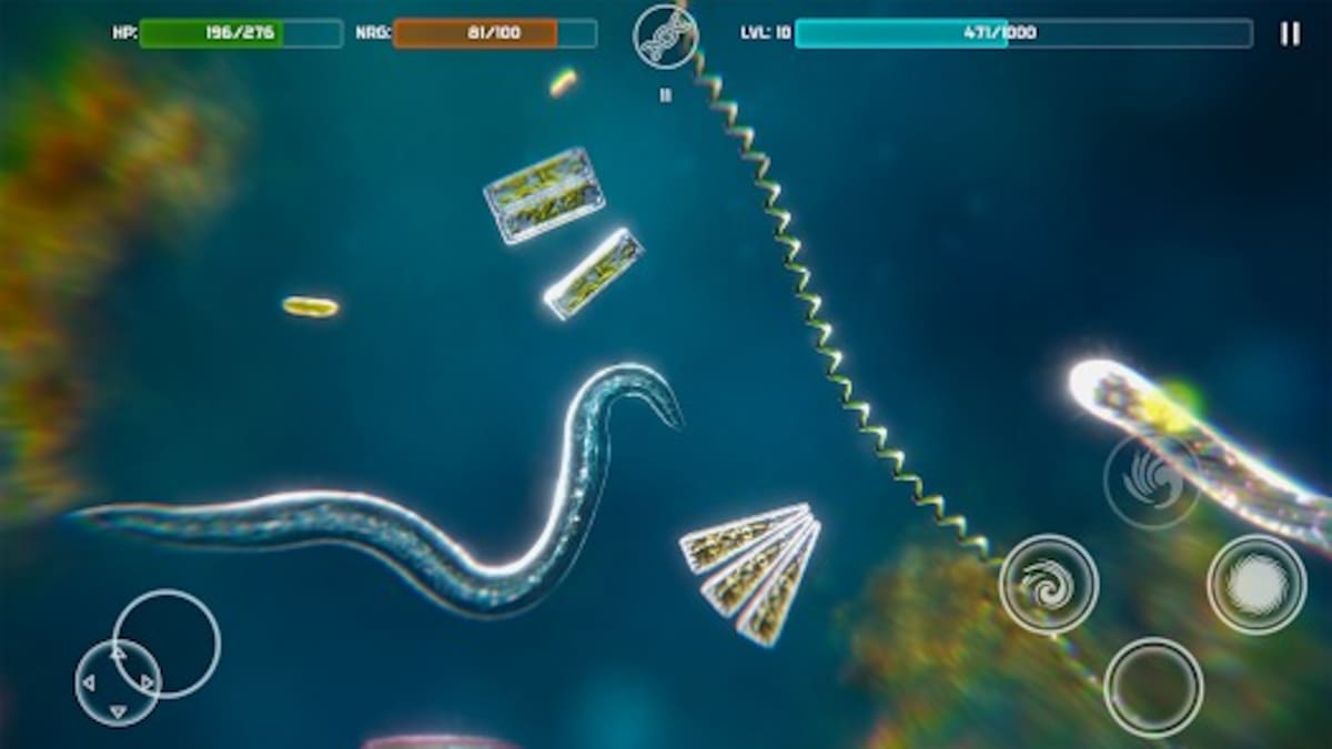 Singular videojuego.