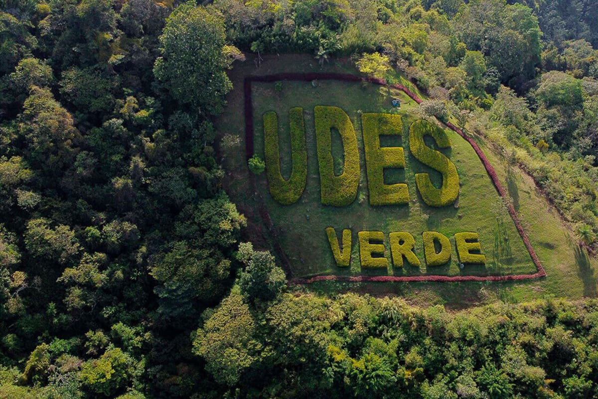 Udes, verde y sostenible.