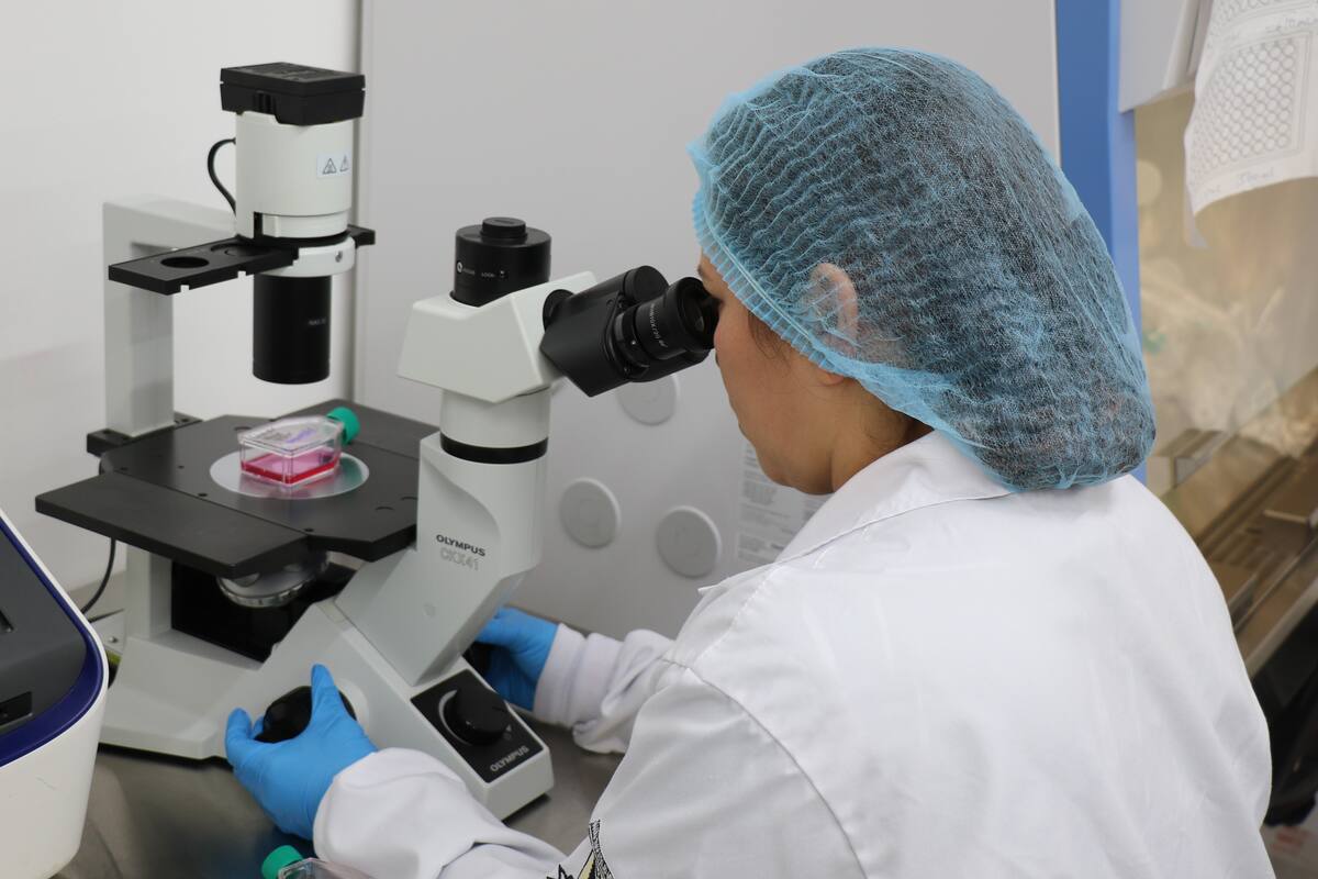Importante investigación se adelanta en la UDES, seccional Bucaramanga.