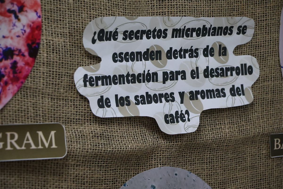 Una interesante actividad se vivió en la Universidad de Santander, UDES.