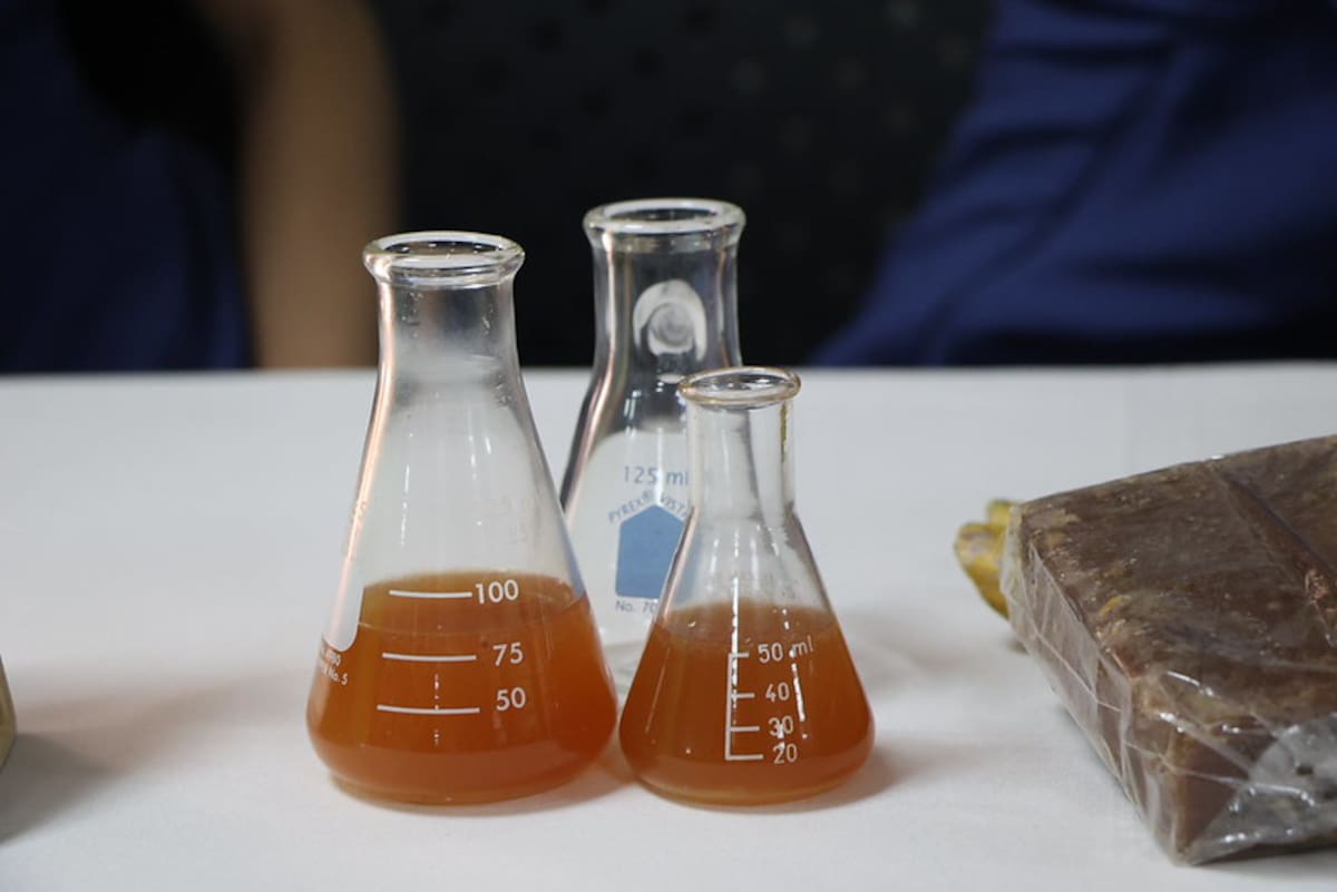 Guarapo, chicha y masato: los secretos que fermentan en la tradición colombiana.