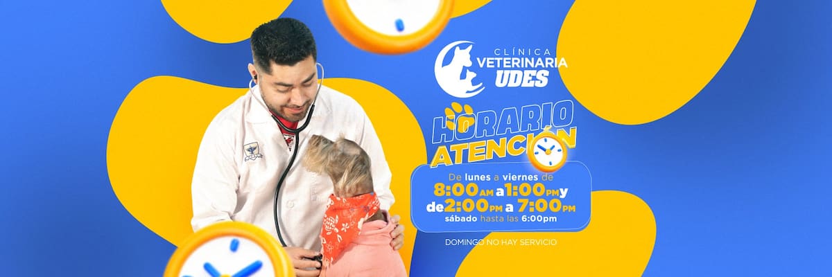 Horarios estipulados.